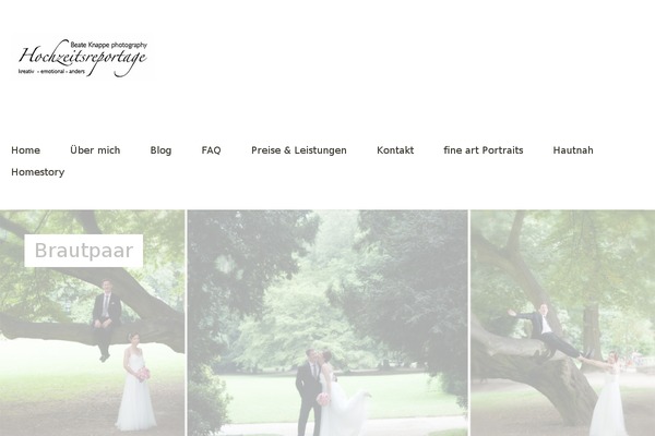 Baylys theme site design template sample