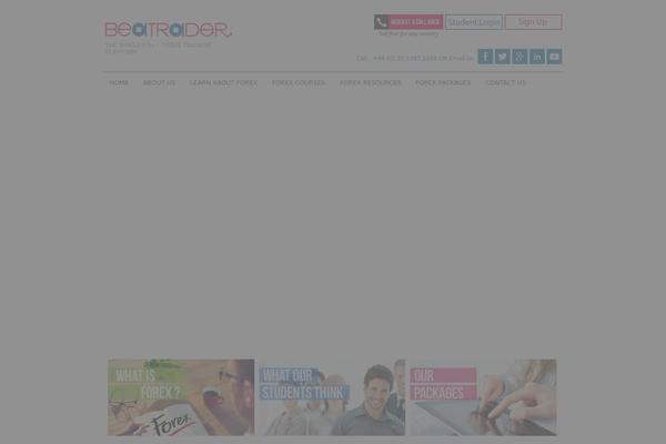 Trader website example screenshot