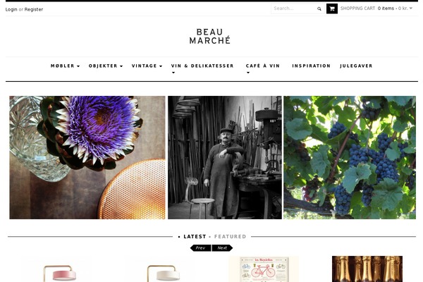 Fashion theme site design template sample