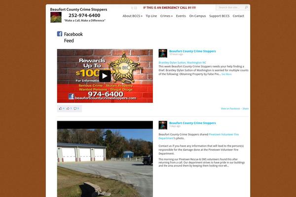 Chameleon theme site design template sample