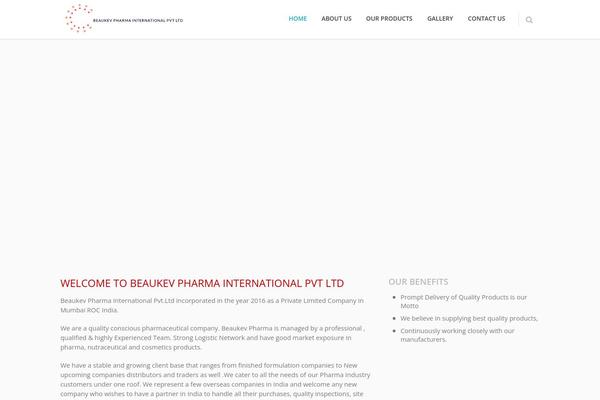 Converio theme site design template sample