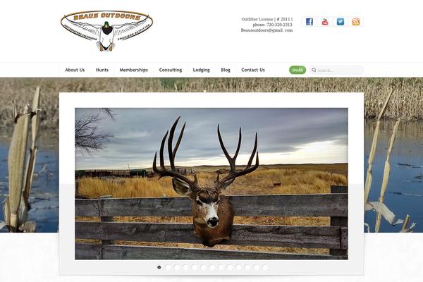 Site using Amazing-post-widget plugin
