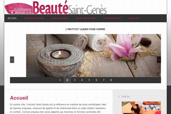 Streamline Pro theme site design template sample