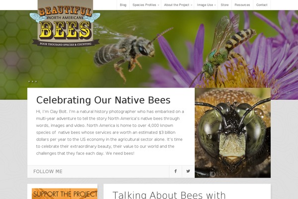 Adventure theme site design template sample