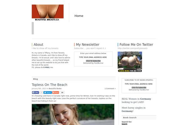 Simple Organization theme site design template sample