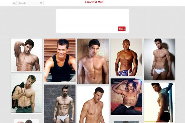 Covert PinPress theme site design template sample