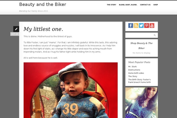 Pixelpower theme site design template sample