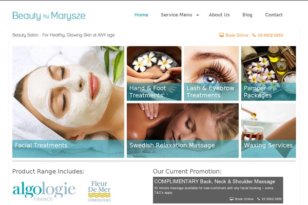 Thebeautysalon2 theme site design template sample
