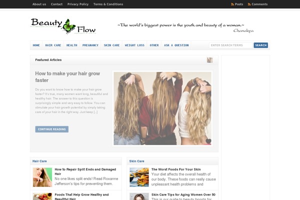 WP-Clear theme site design template sample