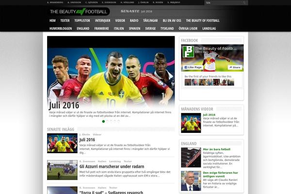 Resportsive theme site design template sample