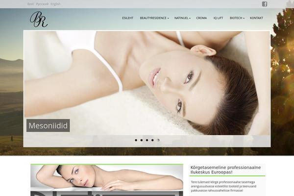 Aldehyde theme site design template sample