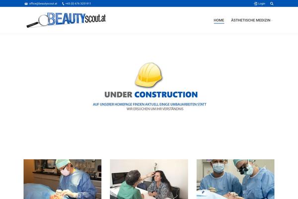 Dt-the7-2 theme site design template sample