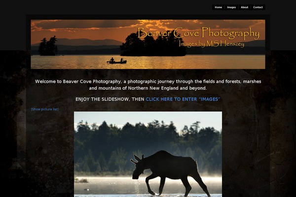 beavercovephotography.com site used Modularity Lite