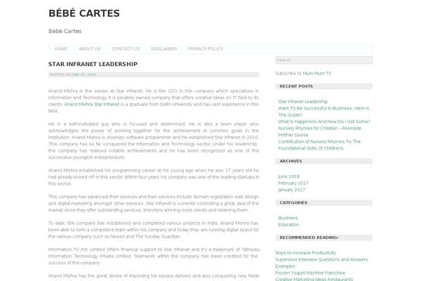 Araiz theme site design template sample