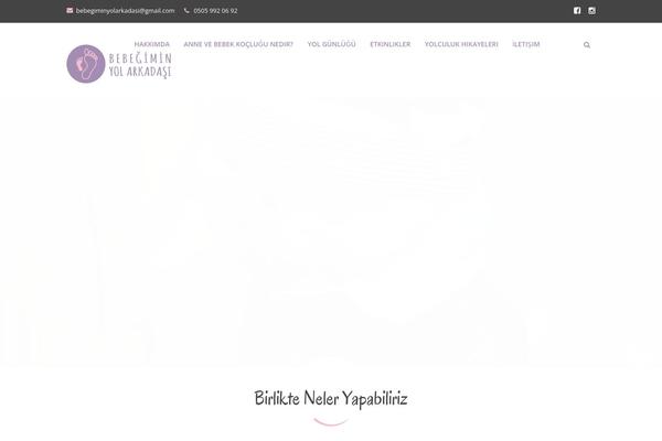 bebegiminyolarkadasi.com site used Healthcoach