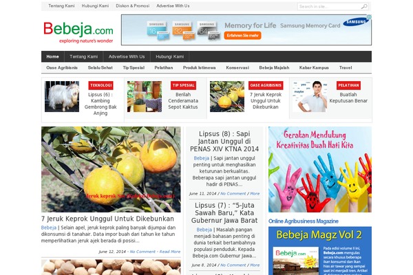 Site using Add Local Avatar plugin