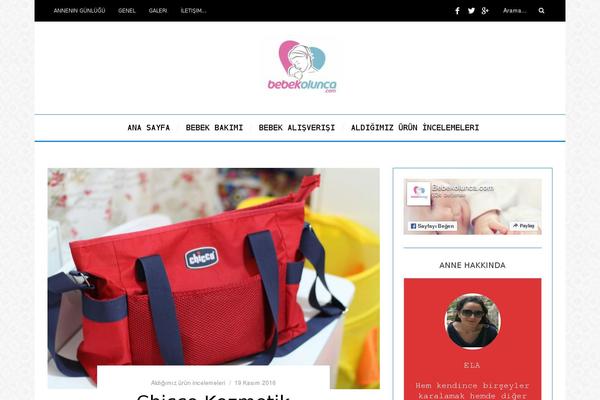 Site using Shortcodes-indep plugin