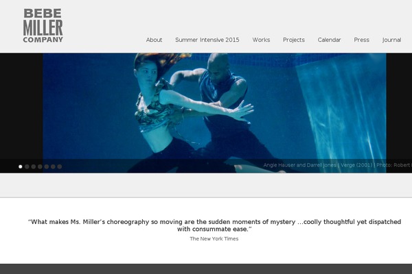 Panoramica theme site design template sample