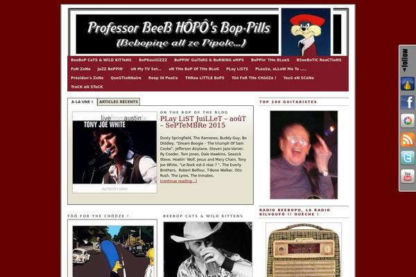 Branfordmagazine Pro theme site design template sample