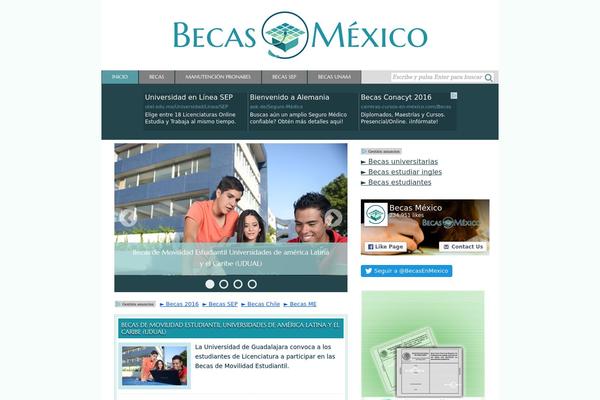 Site using Ads-for-wp plugin