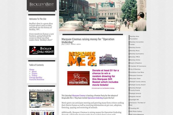 Site using About the Author Advanced plugin