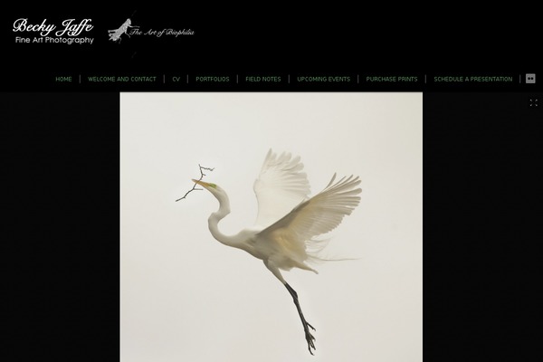 Expression theme site design template sample