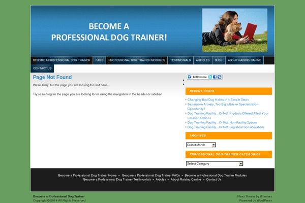 Flexx Theme theme site design template sample
