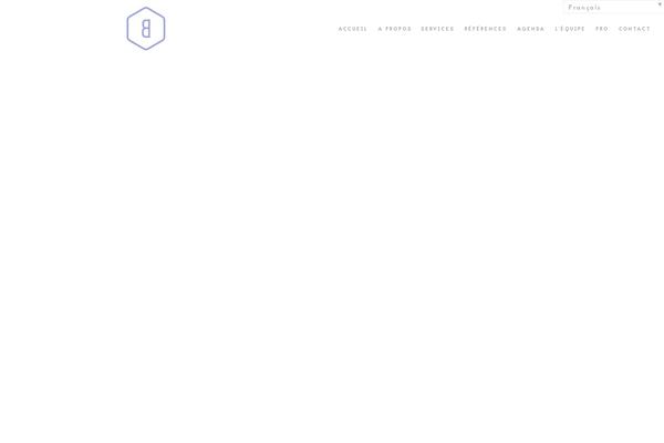 Nrgagency theme site design template sample