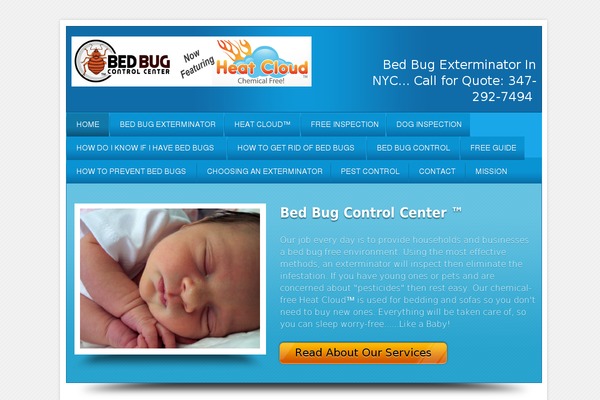 Local Business theme site design template sample