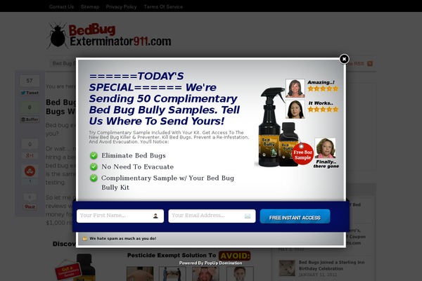 Canvas theme site design template sample