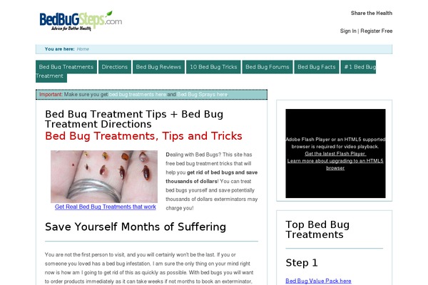 Trending theme site design template sample