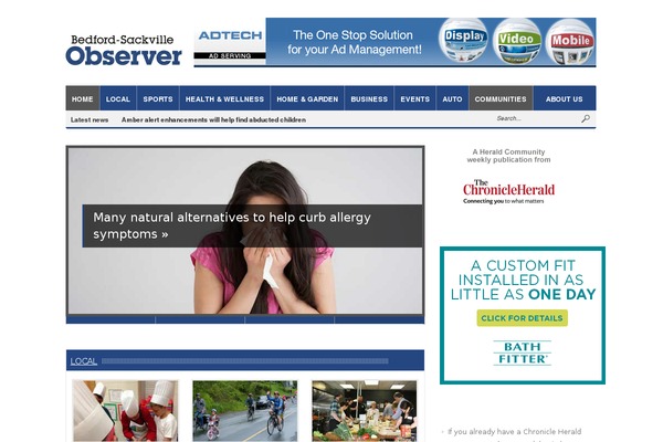 All News theme site design template sample
