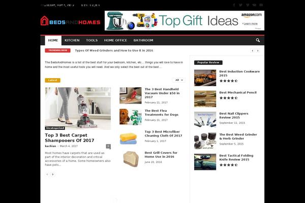 NewsMag theme site design template sample