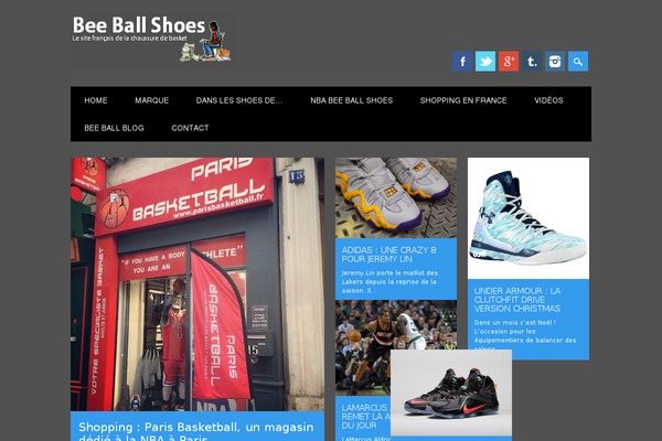 Magazino theme site design template sample