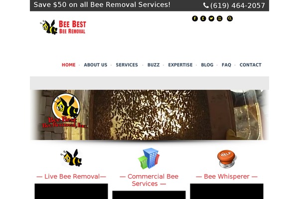 Rocco theme site design template sample