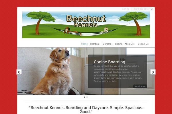 Chameleon theme site design template sample