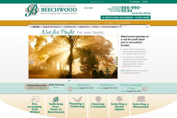 Site using MailChimp for WordPress plugin
