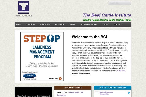 Responsive theme site design template sample