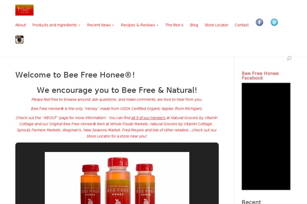 Divi theme site design template sample