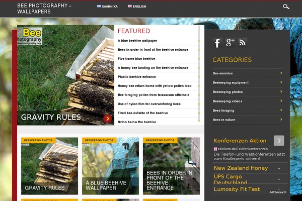 Noteworthy theme site design template sample