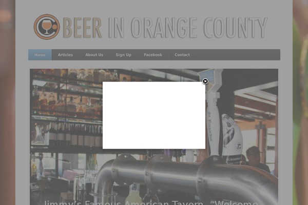 Function theme site design template sample