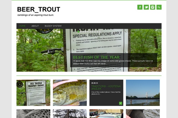 Magazino theme site design template sample
