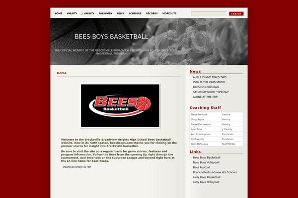 deep_silent theme websites examples