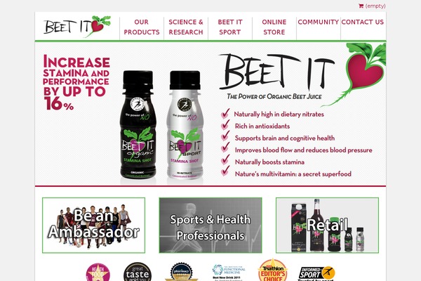 Bt theme site design template sample