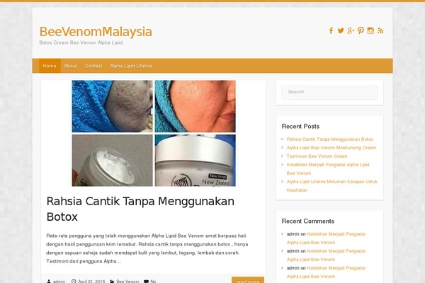 Travelify theme site design template sample