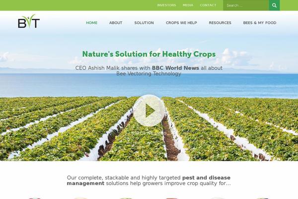 Custom Theme theme site design template sample