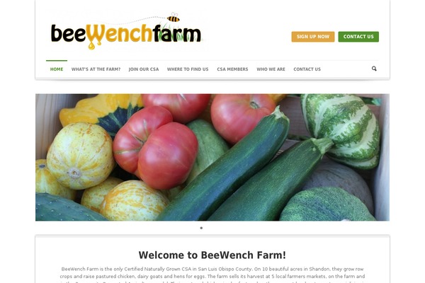 Phoenix-v1-06 theme site design template sample