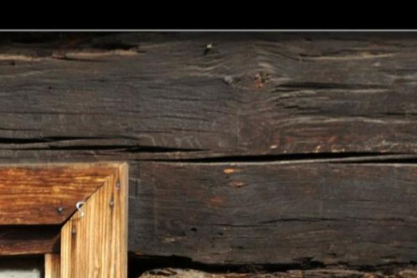 Site using Wordpress-print-this-section plugin