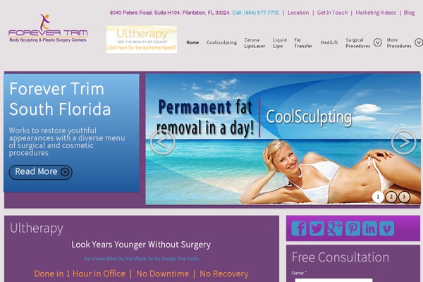 Salbii theme site design template sample