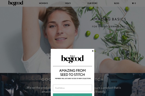 flatshop-child theme websites examples